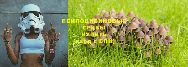 apvp Абинск