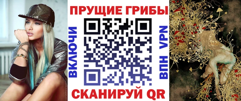 Псилоцибиновые грибы MAGIC MUSHROOMS  гидра ONION  Дербент  как найти закладки 