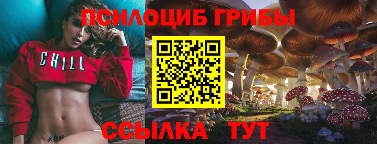Псилоцибиновые грибы Magic Shrooms Дербент